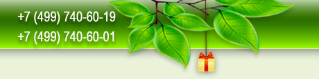 GiftsPark.ru - ������������ ���������, �������� �����, ��������� ��������